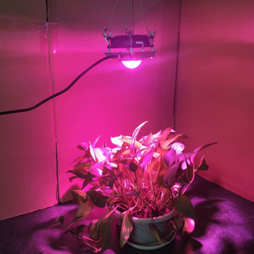 Lumière de croissance des plantes COB LED Plantation de légumes Lumière succulente, lumière: spectre complet (prise EU 220V) SH901B1498-011