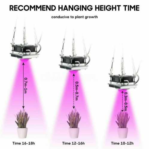 Lumière de croissance des plantes COB LED Plantation de légumes Lumière succulente, lumière: spectre complet ( 220V) SH901B1498-011