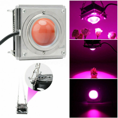 Lumière de croissance des plantes COB LED Plantation de légumes Lumière succulente, lumière: spectre complet ( 220V) SH901B1498-011