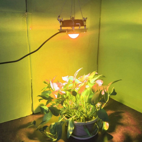 Lumière de croissance des plantes COB LED Plantation de légumes Lumière succulente, Lumière: Sunligh (Prise UE 220V) SH902B540-011