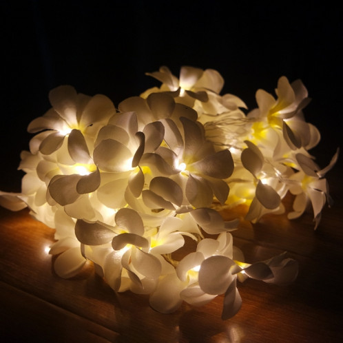 1.5m 10 LED à piles blanc chaud créatif bricolage frangipanier LED guirlande lumineuse Floral vacances éclairage événement fête guirlande chambre décoration SH8990717-06