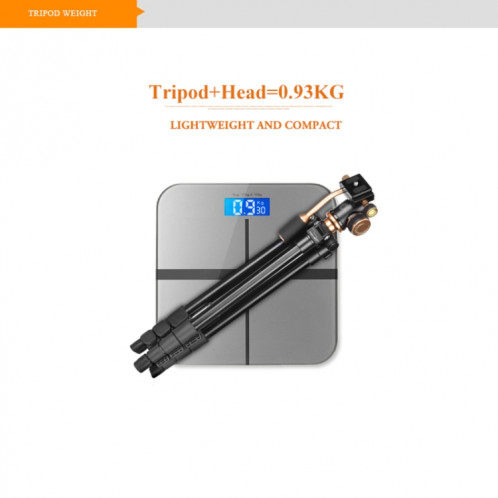 Q160s Pieds pliants à 4 sections Support de trépied en alliage d'aluminium à diffusion en direct avec rotule à trépied d'amortissement SH38301317-012