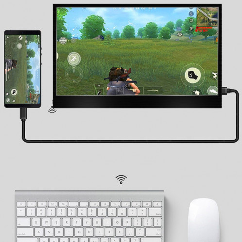 Zynk TPZ1303 Affichage de l'extension ordinateur portable de type-C, taille: 13.3 pouces 2560x1400 SZ63041803-09