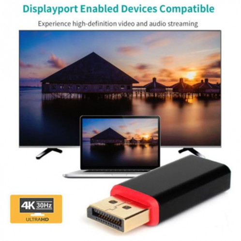 Adaptateur DP vers HDM Adaptateur Displayport / M vers AF 4K SH6706422-09