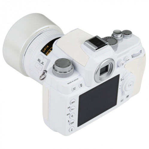 Faux modèle d'appareil photo reflex numérique factice non fonctionnel, modèle DF, accessoires de salle de modèle, ornements SH102B1733-07