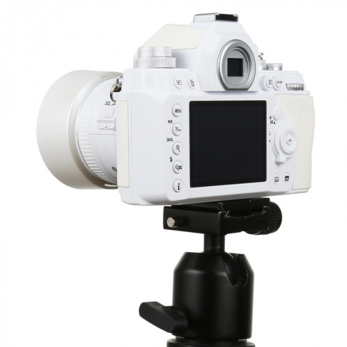 Modèle d'appareil photo reflex numérique factice non fonctionnel, modèle DF, accessoires de salle, ornements, affichage des accessoires de modèle d'appareil photo de studio photo, couleur : blanc (avec capuche) SH102B1188-07