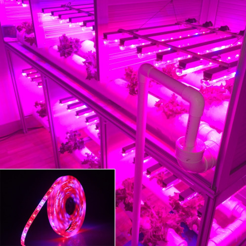 5m 300 LEDs SMD 5050 spectre complet bande de lumière LED Fitolampy élèvent des lumières pour serre plante hydroponique imperméable à l'eau (5 rouge 1 bleu) SH602C1081-08