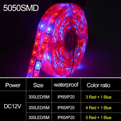 5m 300 LEDs SMD 5050 spectre complet bande de lumière LED Fitolampy élèvent des lumières pour serre plante hydroponique imperméable à l'eau (5 rouge 1 bleu) SH602C1081-08