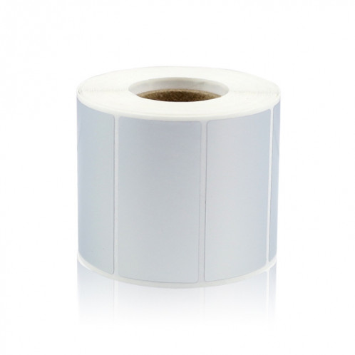 Étiquette d'immobilisation d'équipement d'avion de papier d'argent stupide de papier d'impression pour NIIMBOT B50W, taille: argent 40x20mm SH3115291-05