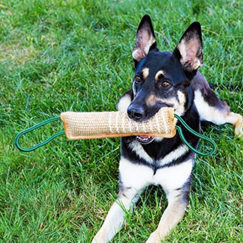 Formation de chien Bâton de morsure de chanvre Bâton de morsure de chien Fournitures de formation de chien (A5) SH201E1380-011