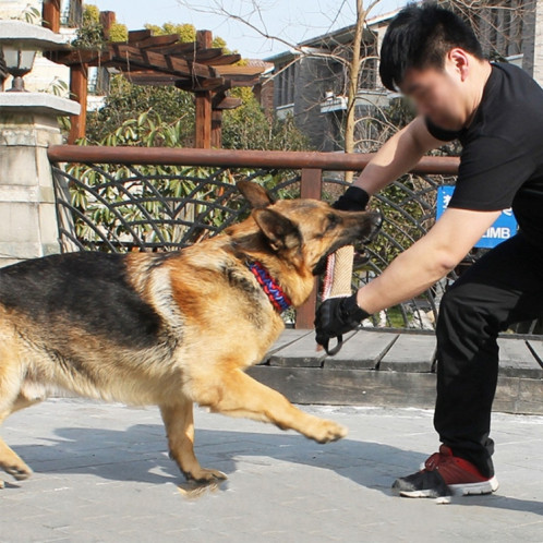 Formation de chien Bâton de morsure de chanvre Bâton de morsure de chien Fournitures de dressage de chien (A3) SH201C979-011