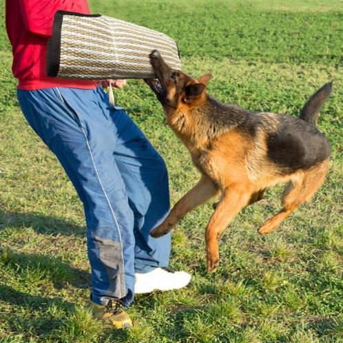 Dog Training Protecteur de manches flottantes en jute à grain rugueux à bords noirs SH7469125-08