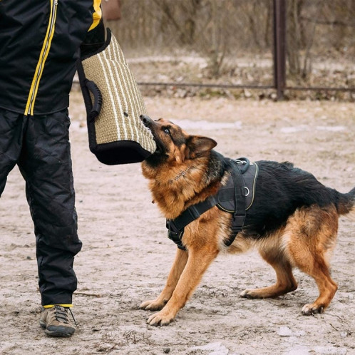 Dog Training Protecteur de manches flottantes en jute à grain rugueux à bords noirs SH7469125-08