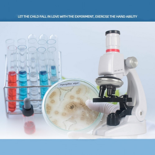 Early Education Biological Science 1200X Microscope Science And Education Toy Set For Children L SH12021938-010