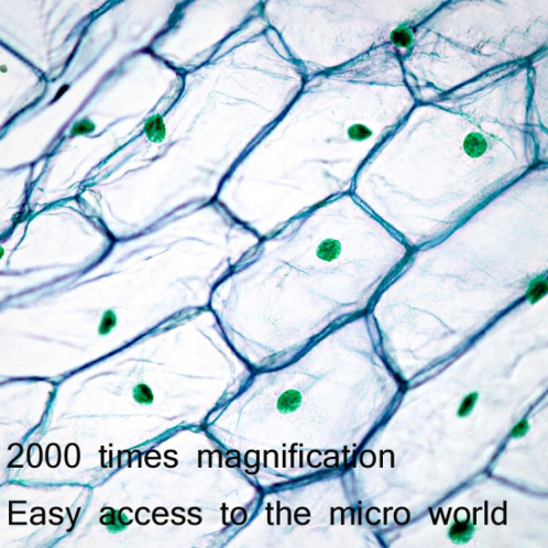Microscope biologique de grossissement de 2000X WIFI USB HD Loupe numérique HD SH0698944-06