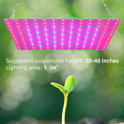 Lampe de croissance de plante LED bleu rouge Spectrum fleur de fleur de plantation de plantation de lampe de plantation Quantum Plaque Plante Lumière, Puissance: 81 Beads Beads Fiche SH390891-07