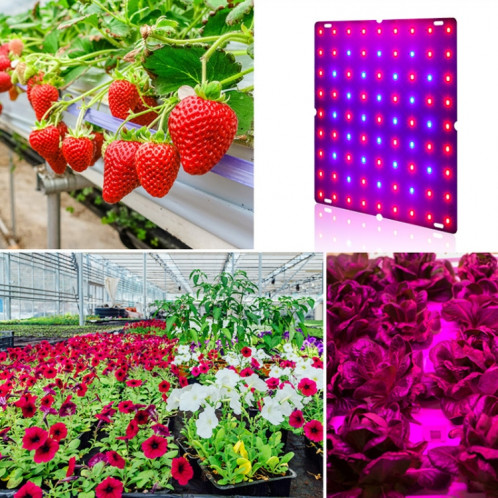 Lampe de croissance de plante LED bleu rouge Spectrum fleur de fleur de plantation de plantation de lampe de plantation Quantum Plaque Plante Lumière, Puissance: 81 Beads Beads Fiche SH390891-07