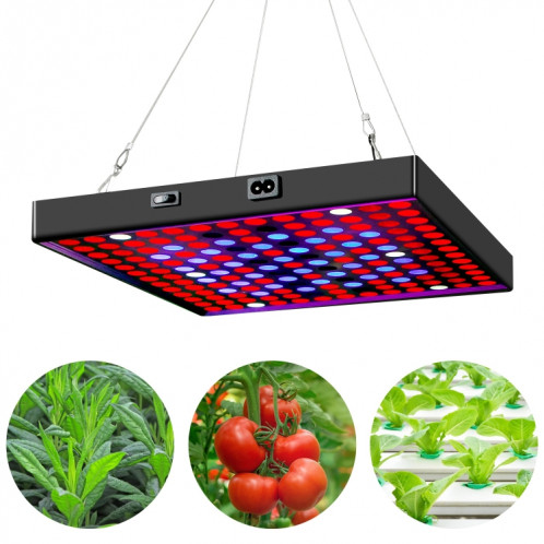 Feu LED PLANT LAMISTRE PLANCHE QUANTUM SERVIGNAGE CROISSANCE DE PLANIFICATION PLANIFICATION PLANIFICATION PLANIFICATION PLANIFICATION PLANIFIER SPECTRUM PLANIFIER, POWER: 169 PERLES US SH4203130-07