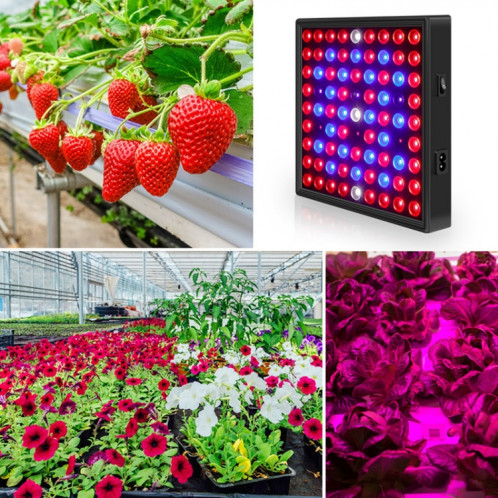 LED Plant léger planche quantum planche de serre planture croissance plante plante complémentaire plante de plante de plantation de plante, puissance: 81 perles UK fiche SH42051215-07