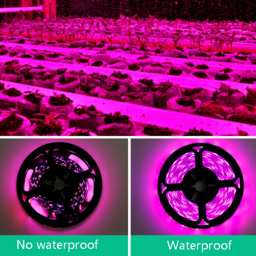 2M non imperméable à LED de lampe de lumière de lampe de remplissage de plante de remplissage de la spectroscopie pleine spectroscopie USB SH7307604-07
