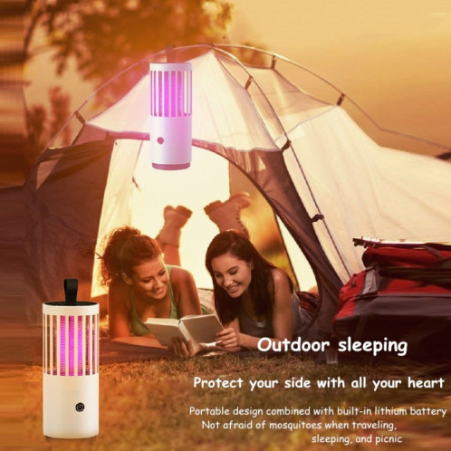 Dai Heart Electric Mosquito Mosquito Killer Lampe d'extérieur Photocatalyseur Mosquito Mosquito Killer, Style: Rechargeable SD13021004-07