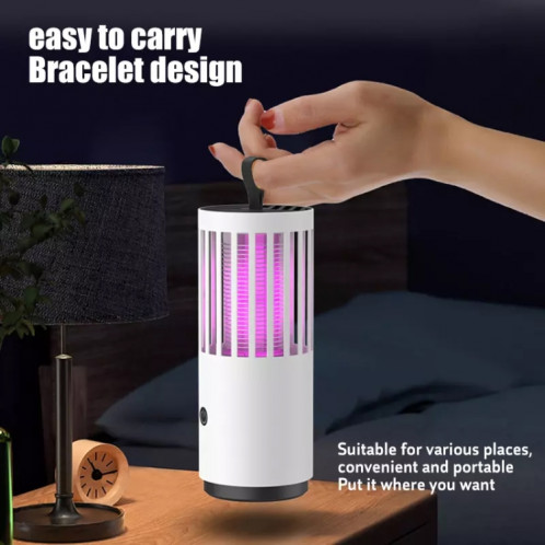Dai Heart Electric Mosquito Mosquito Killer Lampe d'extérieur Photocatalyseur Mosquito Mosquito Killer, Style: Rechargeable SD13021004-07