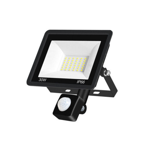 30W PIR LED Spotirlight PROJET DE PROJET DE PLUMAGE ÉMERAUX ÉMERAUX ÉNERGAUMENT D'ÉNERGAU ÉNANELLEMENTAIRE, Style: (lumière blanche froide) SH608A380-08