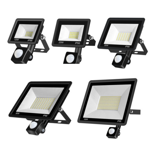 50W PIR LED Spotirlight PROJET DE PROJET DE PLUMAGE ÉTÉRIEUR DE JARDIN ÉLECTABLE D'ÉNERGIE D'ÉNERGIE D'ÉNERGIE ÉNANELLEMENTAIRE, Style: (Lumière blanche froide) SH609A268-08