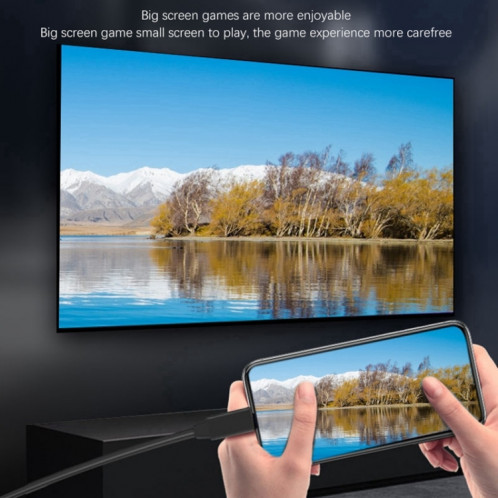 T2 Type C USB To Connecteur d'écran TV 4K 60Hz Compatible 4K 60Hz HD pour téléphones, tablettes, ordinateurs portables, projecteurs (noir) SH101A219-07