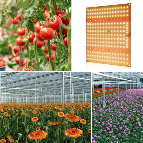Lumière de croissance à effet de serre à serre à haute spectrale à LED SH901A925-07