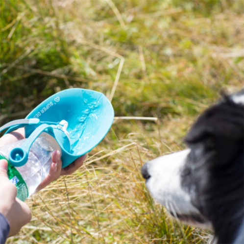 Chien d'alimentation pour animaux de compagnie hors tasse de tasse d'eau à bascule en plein air de grande capacité (orange) SH501D969-07