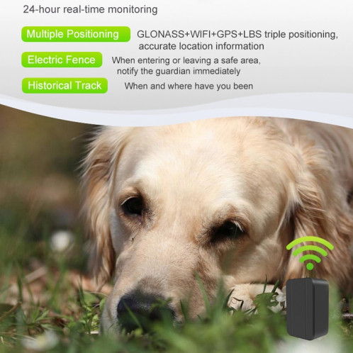 CJ230 Locator Pet Micro Mini GPS Locator SH78981558-07