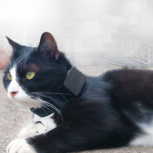 CJ230 Locator Pet Micro Mini GPS Locator SH78981558-07