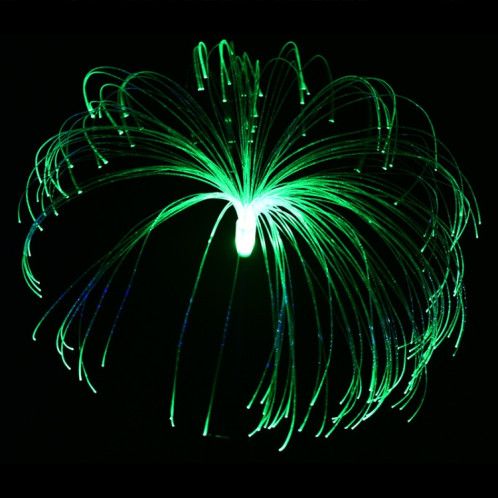 Solar Fibre optique Lampe de la législation à la pelouse de la lampe LED lampe de décoration de jardin extérieure (lumière colorée) SH601A1198-06