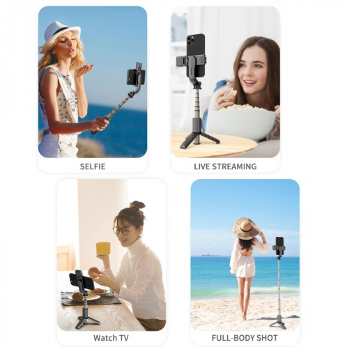 Mini Selfie Stick intégré Bluetooth Bluetooth multifonctionnel, Spécifications: Q10S 70cm avec éclairage de remplissage SH30021688-07