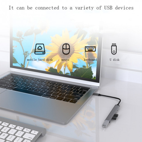 U5 Type-C Extender USB3.0 Splitter Multi-Port Dossier d'expansion, Nombre d'interfaces: 5 en 1 (USB) SH02031862-07