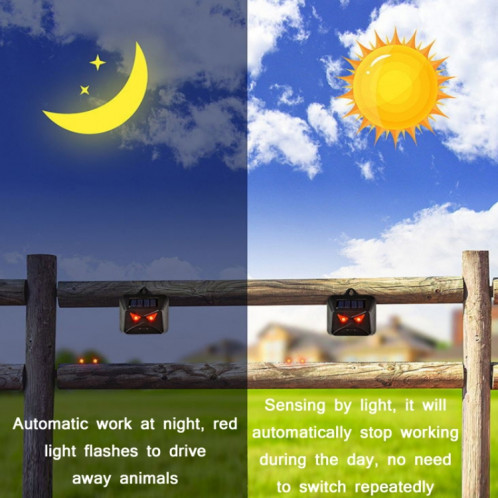 Nocturne Nocturnal Animal Solar High Frequency Flash (Owl Black) SH501A1146-07