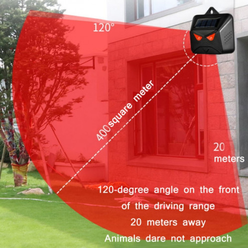 Nocturne Nocturnal Animal Solar High Frequency Flash (Owl Black) SH501A1146-07