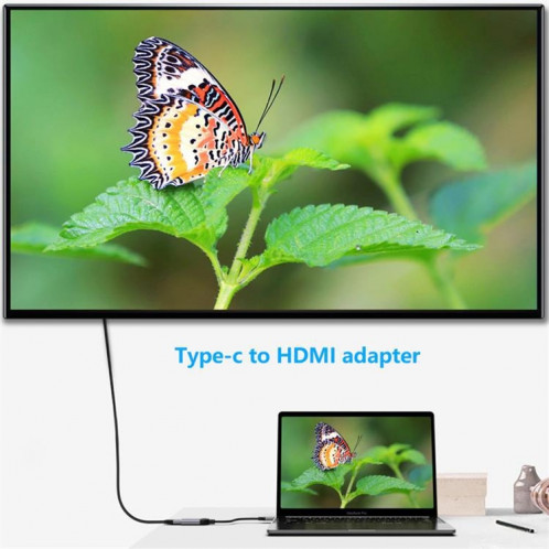 QGeem QG-UA01 USB Type-C à HDMI Adaptateur (gris) SQ501A574-07