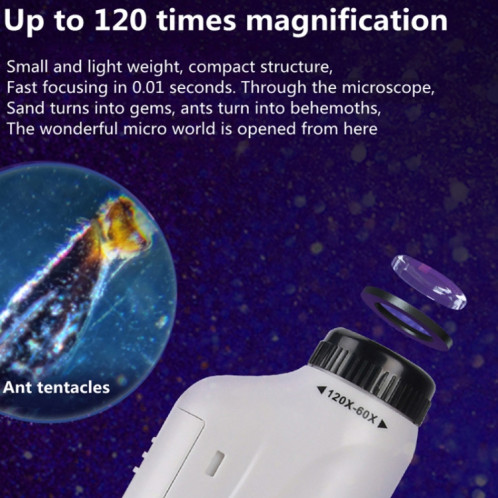 Jouets de microscope de laboratoire portable pour enfants SH3905554-07