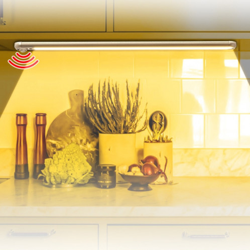 Armoire LED Corps Humain Induction Lampe Home Smart 3 Couleur Veilleuse, Longueur: 40cm (Rechargeable) SH504B1566-06