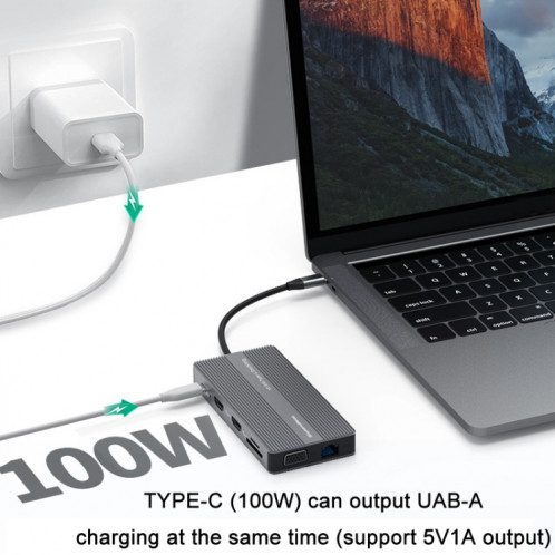 Blueendlessless Type-C + USB 3.0 / 2.0 + VGA + Hub d'interface audio 3,5 mm (12 en 1) SB401A1434-07