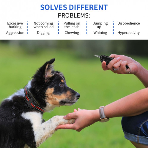 Electronic Dog Trainer Tremper à distance de télécommande de télécommande pour animaux de compagnie, Spécification: 1 traînée 1 rouge SH5501771-07