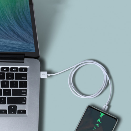 ROMOSS CB304 5A USB TO TYPE-C Câble de données, longueur: 2M SR5504816-07