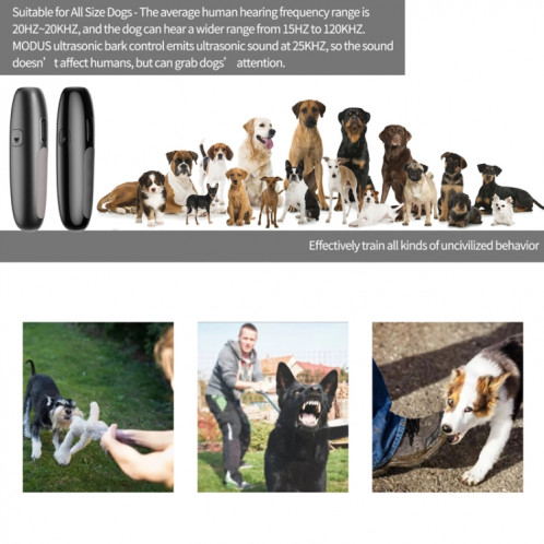 UB100 Ultrasonic Trainer Barking Device Handheld Portable Driving Artefact (Argent) SH201B227-06