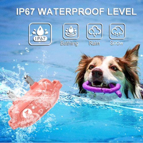 PaiPaitek PD523 Dresseur de chien étanche rechargeable à distance de 1000 m SP9306922-05