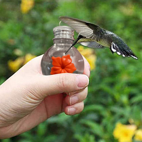 Mangeoire à oiseaux suspendue Ampoule extérieure pour mangeoire à colibris SH07021034-06