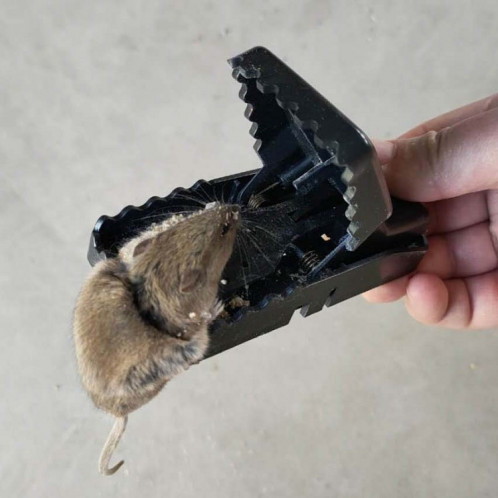 Pièges à souris en plastique d'alliage de ménage de type morsure très sensible SH1076413-05