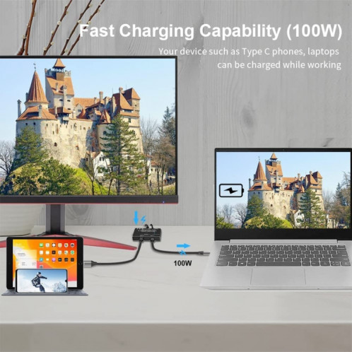 KC-C201 Commutateur bidirectionnel 8K30 Type-C / USB-C Répartiteur HD 10 Gbit/s SH67011635-04