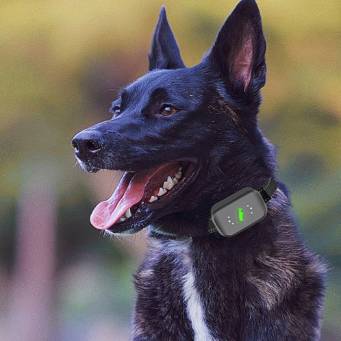 Smart Étanche Électrique Shock Dog Trainer Rechargeable À Distance Bark Stopper (Noir) SH101A1246-012